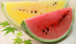 高质量吃瓜爆料,独家爆料，带你领略幕后真相